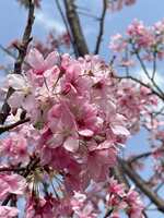 https://images.plurk.com/17IjjrMyrfl6jFKO7ai1YM.jpg