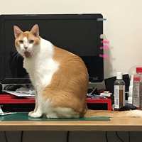 https://images.plurk.com/17JbkMgyfP0M5bBD6wYqrO.jpg