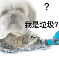 https://images.plurk.com/17NekJD1QsoYwIZ4BxNGXC.jpg