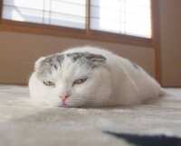 https://images.plurk.com/17Rg1I2aCzO4pMlTkZY2Xv.jpg