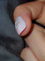 https://images.plurk.com/17VcnnhuYHchDDq5iJHzu4.jpg