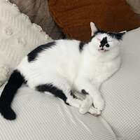https://images.plurk.com/17ZZUz9avOMqtZHx0JyxzT.jpg