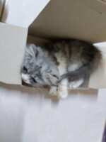 https://images.plurk.com/17h6ZCgpiB3vCKgpbEXpC9.jpg