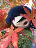 https://images.plurk.com/17rDSFrHBCAVX2uwj9VBmr.jpg