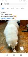 https://images.plurk.com/18DtJk6TrZ8Rpvwbdmli66.png