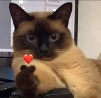 https://images.plurk.com/18F223VYxhVeIJVYaq8fOx.png