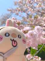 https://images.plurk.com/18FZJqPQAFvxy8yL0snK8B.png