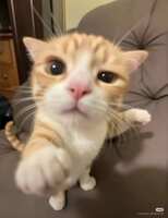 https://images.plurk.com/18Il2nM8bs6quAydHbp0WH.jpg