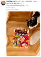 https://images.plurk.com/18XuW7sEaZ16nnHFzgPYuu.jpg