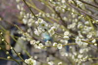 https://images.plurk.com/18apUFgweyUTF6IOSb5tvg.jpg
