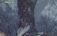 https://images.plurk.com/18eBGPhnY41SuAdxwry3Wz.png