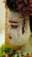 https://images.plurk.com/18hX9hxyQsV6QVEgqCNpb2.jpg