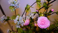 https://images.plurk.com/18lQJ9NXYdnDIBLwNDqEqe.jpg