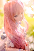 https://images.plurk.com/18o4FZJ7HPc12ygCrnPwFd.jpg