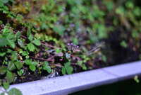 https://images.plurk.com/18rJJoOJczZWfQlkSPH4Yj.jpg