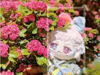 https://images.plurk.com/18uKFx9IGPUg9D0SW0ZcEf.jpg