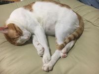 https://images.plurk.com/18vLXvRnzrq52b723HBIeJ.jpg