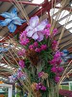 https://images.plurk.com/192olXG4tcgbhp1T3s8lXy.jpg