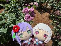 https://images.plurk.com/194nKtZwDYUfu2u2DyvFMc.jpg