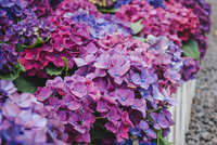 https://images.plurk.com/19723cNTv6hDEgdojscPJB.jpg