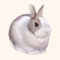 https://images.plurk.com/19CSq0Rbygm0LA5Vr8Blix.jpg