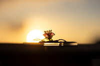 https://images.plurk.com/19IyXrRtpPhSB5400jdsWR.jpg