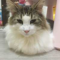 https://images.plurk.com/19Tsf4a1tq1ToyJthde4Ex.jpg