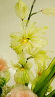 https://images.plurk.com/19Uxb6cpProB4suTgEyzHZ.jpg