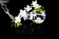 https://images.plurk.com/19hZbWQXheojdJOlbkjfL0.jpg