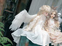 https://images.plurk.com/1A2FCPTkQ2kjkROzDfgxrT.jpg