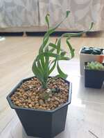 https://images.plurk.com/1A6Ar9zFfMSpiqt7KJZRkg.jpg