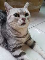 https://images.plurk.com/1A78RBb88K8z7jSSPihxim.jpg