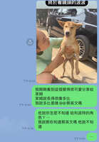 https://images.plurk.com/1A8mxE2oQX98qqy3WbgXVt.jpg
