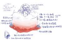 https://images.plurk.com/1A9rWJaUJhrNC4p4iWOtIs.png