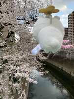 https://images.plurk.com/1AEArTTywY1LI75B14AGhK.jpg