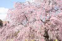 https://images.plurk.com/1AETlrM4UizO6Vc3Sb6Diu.jpg