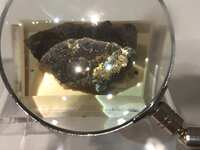 https://images.plurk.com/1AJRu1SdxBQYy9EbmAOFdK.jpg