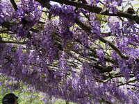 https://images.plurk.com/1ALGYdchrTYN0UHA52UqTE.jpg