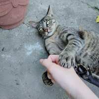 https://images.plurk.com/1ANyDA0oxM5su359QzY5MH.jpg