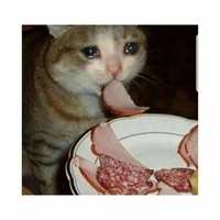 https://images.plurk.com/1ARAKEPw6E44VZvxqVROjQ.jpg