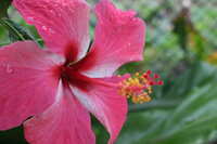 https://images.plurk.com/1AmWfPKTji1LPdVBRWi0Im.jpg