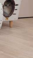 https://images.plurk.com/1AoJTrqsTmn0TWhBm67C3L.jpg
