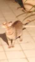 https://images.plurk.com/1ApUBIT2IDcS7SPIv3cmz2.jpg