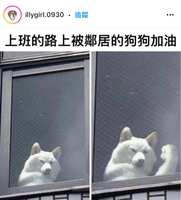 https://images.plurk.com/1Aq82OwdAfMYfd8Nu3NKRL.jpg