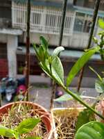 https://images.plurk.com/1AvDHJL2HY0RWCAIxK060z.jpg