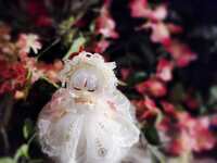 https://images.plurk.com/1AvvOQJD7Xz22YsT6bXpGC.jpg