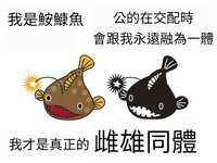 https://images.plurk.com/1B4QaIo20O4RtMvT6108ib.jpg