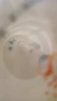 https://images.plurk.com/1B6FABc3247l93R0mC7wte.jpg