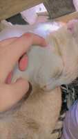 https://images.plurk.com/1B9H83rm5NbbRQY6yi6KyJ.jpg