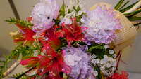 https://images.plurk.com/1BJjYpSy0MWyWNNhTeq43N.jpg